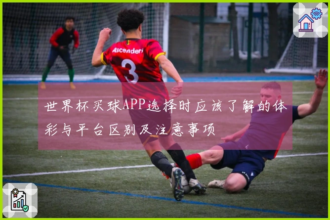 世界杯买球APP选择时应该了解的体彩与平台区别及注意事项