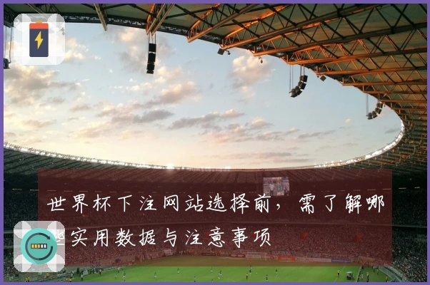 世界杯下注网站选择前，需了解哪些实用数据与注意事项