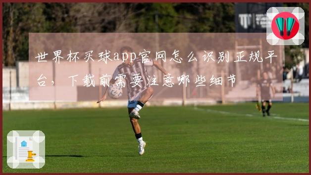世界杯买球app官网怎么识别正规平台，下载前需要注意哪些细节
