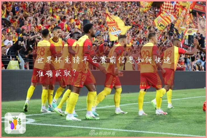世界杯竞猜平台赛前信息如何快速准确获取?