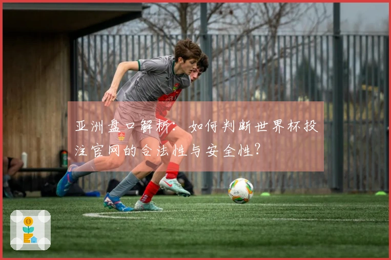 亚洲盘口解析：如何判断世界杯投注官网的合法性与安全性？