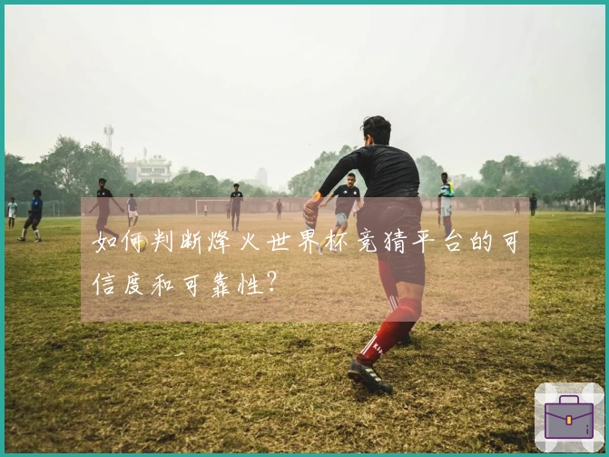 如何判断烽火世界杯竞猜平台的可信度和可靠性？