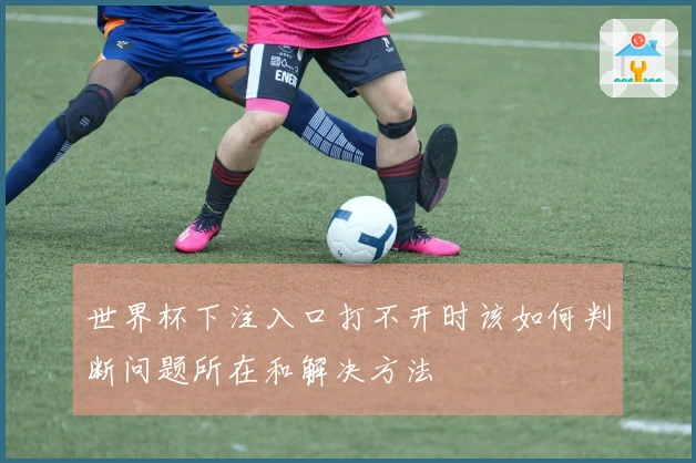 世界杯下注入口打不开时该如何判断问题所在和解决方法