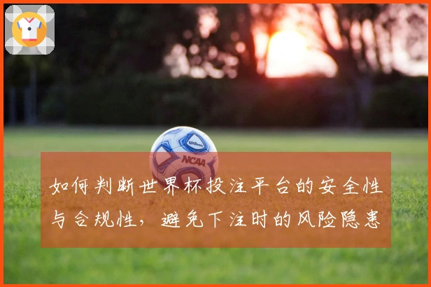 如何判断世界杯投注平台的安全性与合规性，避免下注时的风险隐患