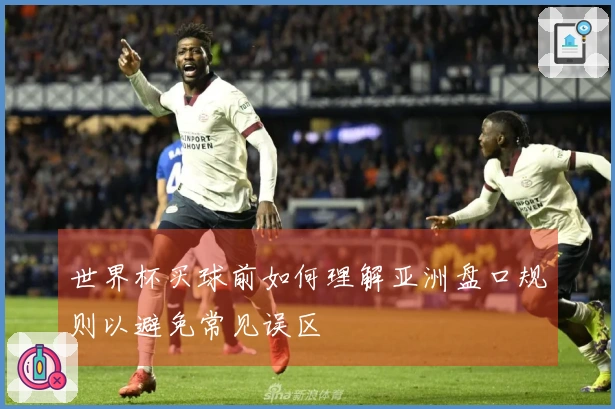 世界杯买球前如何理解亚洲盘口规则以避免常见误区