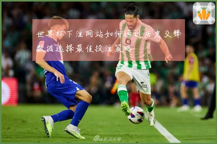 世界杯下注网站如何通过历史交锋数据选择最佳投注策略