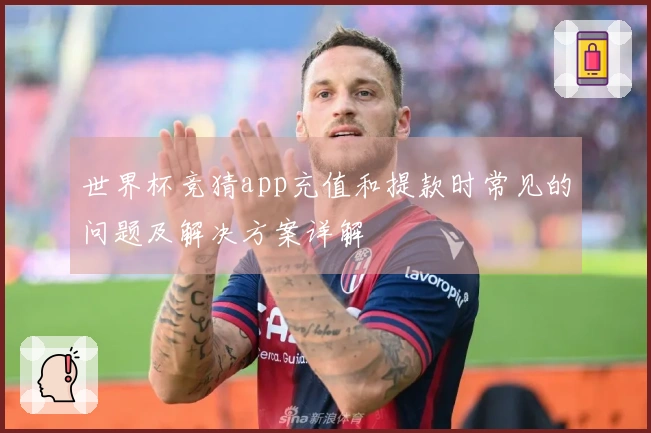 世界杯竞猜app充值和提款时常见的问题及解决方案详解