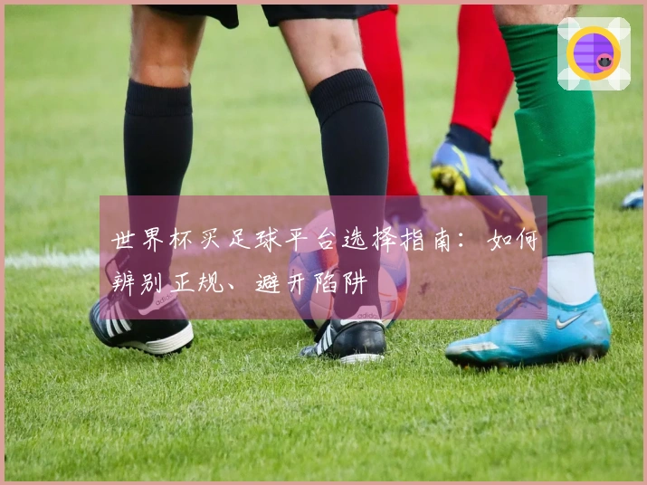 世界杯买足球平台选择指南：如何辨别正规、避开陷阱