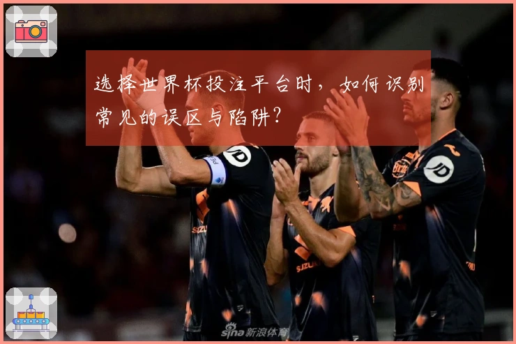 选择世界杯投注平台时，如何识别常见的误区与陷阱？