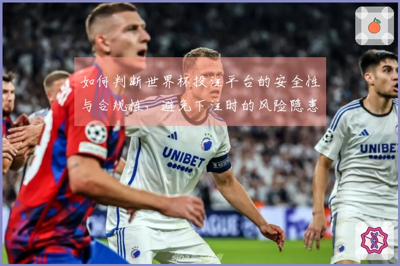 如何判断世界杯投注平台的安全性与合规性，避免下注时的风险隐患