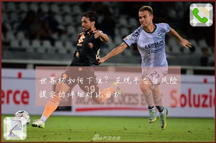 世界杯如何下注？正规平台与风险提示的详细对比分析