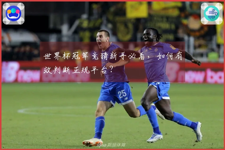 世界杯冠军竞猜新手必看，如何有效判断正规平台？