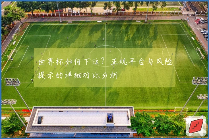 世界杯如何下注？正规平台与风险提示的详细对比分析