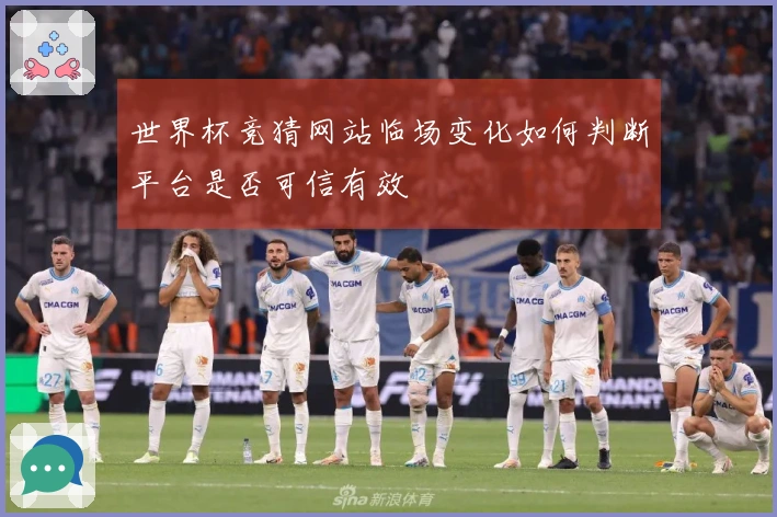 世界杯竞猜网站临场变化如何判断平台是否可信有效