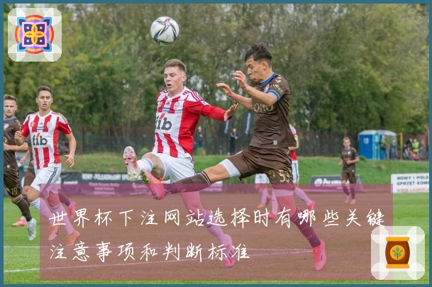 世界杯下注网站选择时有哪些关键注意事项和判断标准