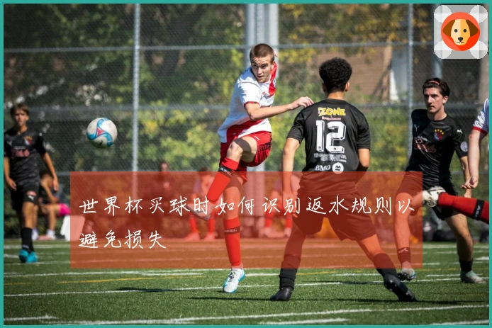 世界杯买球时如何识别返水规则以避免损失