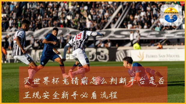 买世界杯竞猜前怎么判断平台是否正规安全新手必看流程