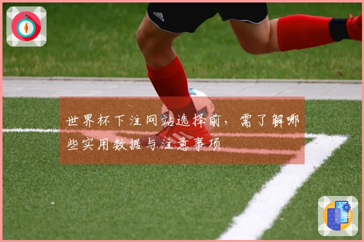 世界杯下注网站选择前，需了解哪些实用数据与注意事项