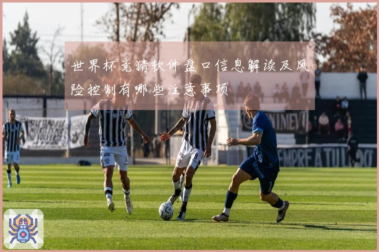 世界杯竞猜软件盘口信息解读及风险控制有哪些注意事项