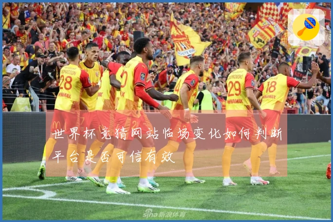 世界杯竞猜网站临场变化如何判断平台是否可信有效
