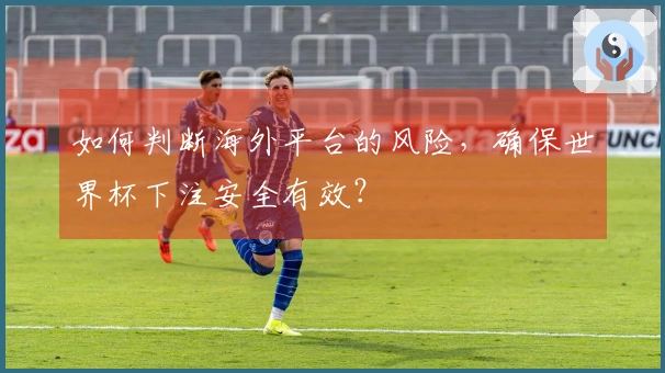 如何判断海外平台的风险，确保世界杯下注安全有效？