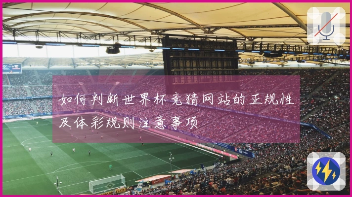 如何判断世界杯竞猜网站的正规性及体彩规则注意事项