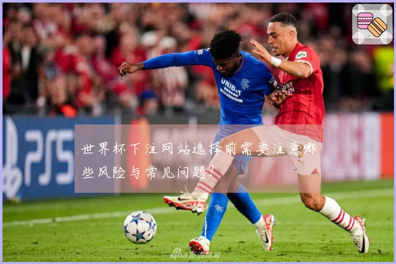 世界杯下注网站选择前需要注意哪些风险与常见问题？