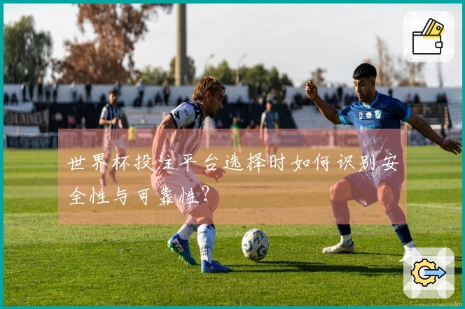 世界杯投注平台选择时如何识别安全性与可靠性？