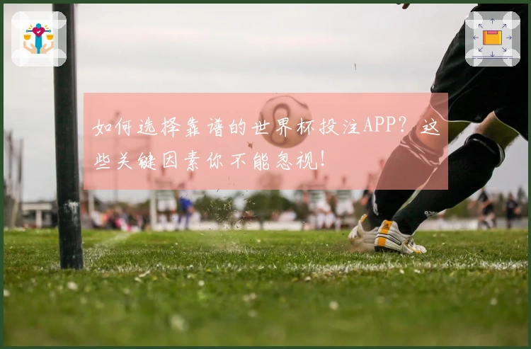 如何选择靠谱的世界杯投注APP？这些关键因素你不能忽视！