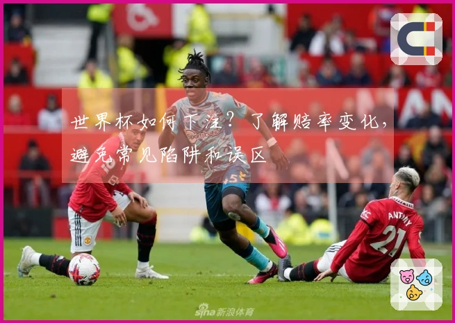 世界杯如何下注？了解赔率变化，避免常见陷阱和误区