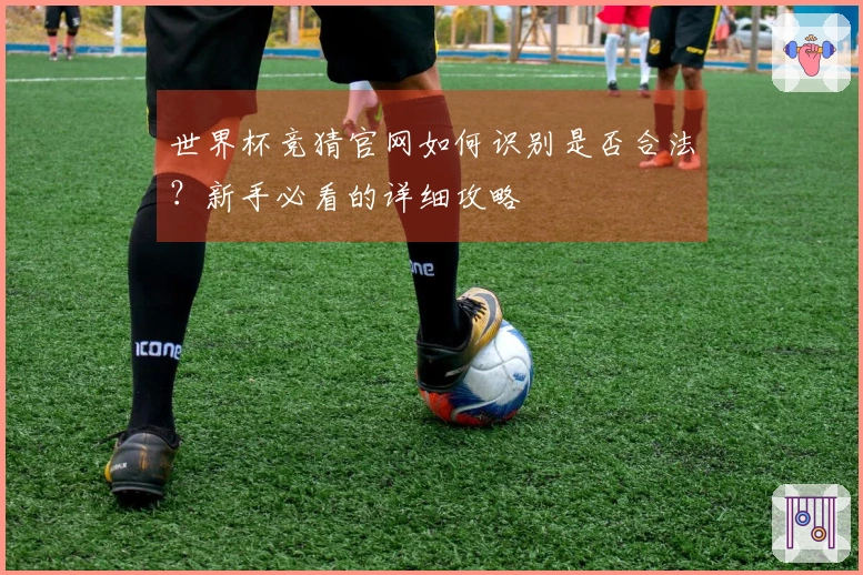 世界杯竞猜官网如何识别是否合法？新手必看的详细攻略