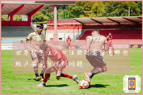 世界杯下注入口注册时需留意哪些账户安全与规则问题
