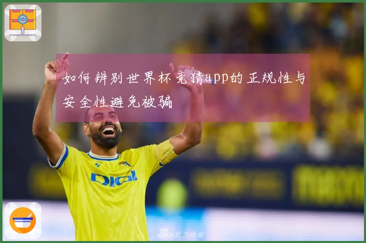 如何辨别世界杯竞猜app的正规性与安全性避免被骗