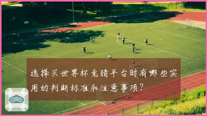 选择买世界杯竞猜平台时有哪些实用的判断标准和注意事项?