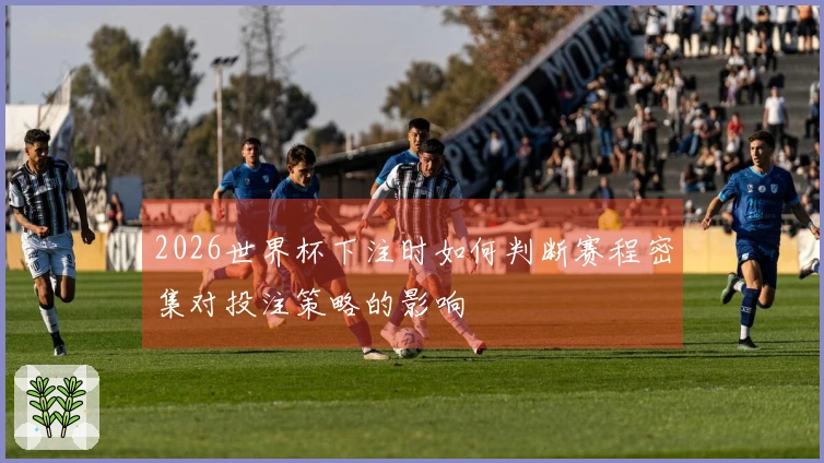 2026世界杯下注时如何判断赛程密集对投注策略的影响