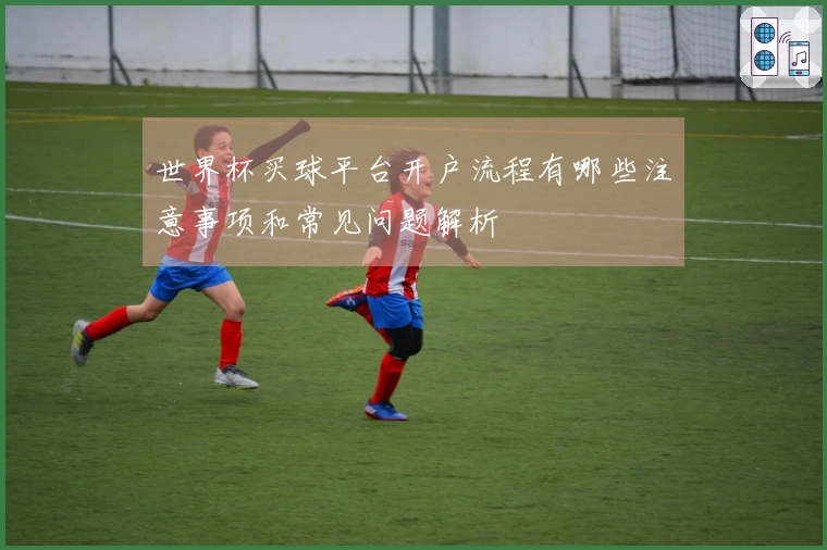 世界杯买球平台开户流程有哪些注意事项和常见问题解析