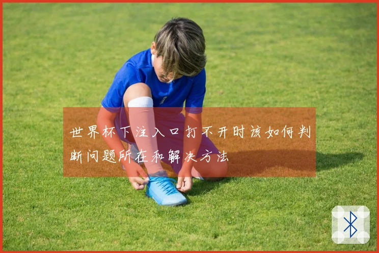 世界杯下注入口打不开时该如何判断问题所在和解决方法