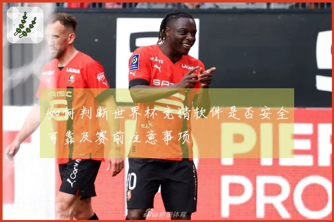 如何判断世界杯竞猜软件是否安全可靠及赛前注意事项