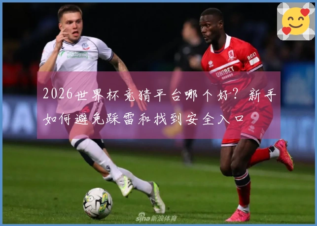 2026世界杯竞猜平台哪个好？新手如何避免踩雷和找到安全入口