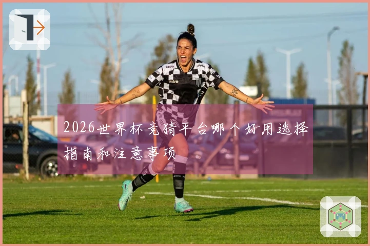 2026世界杯竞猜平台哪个好用选择指南和注意事项