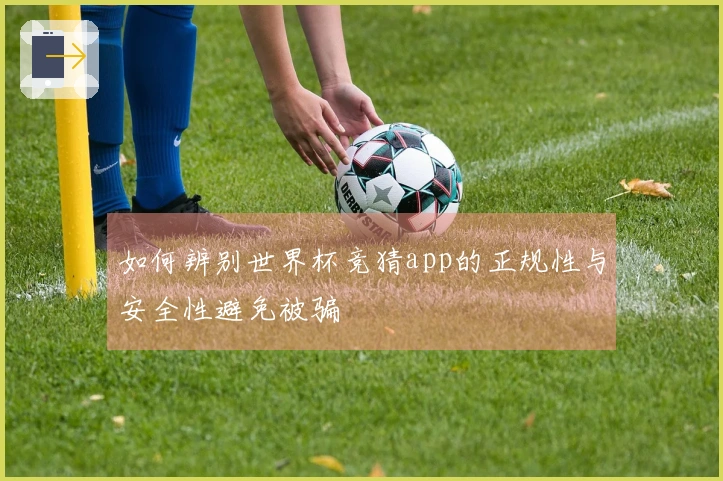 如何辨别世界杯竞猜app的正规性与安全性避免被骗