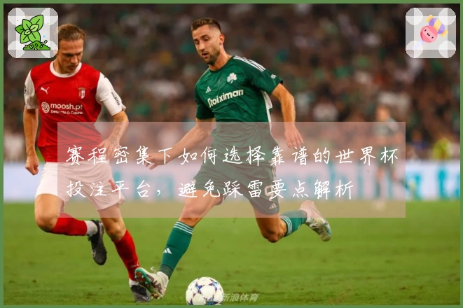 赛程密集下如何选择靠谱的世界杯投注平台，避免踩雷要点解析