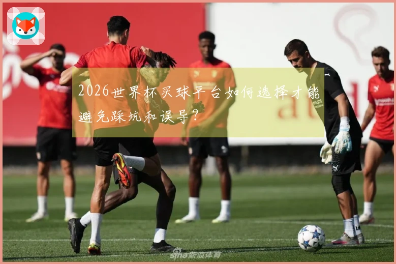 2026世界杯买球平台如何选择才能避免踩坑和误导？