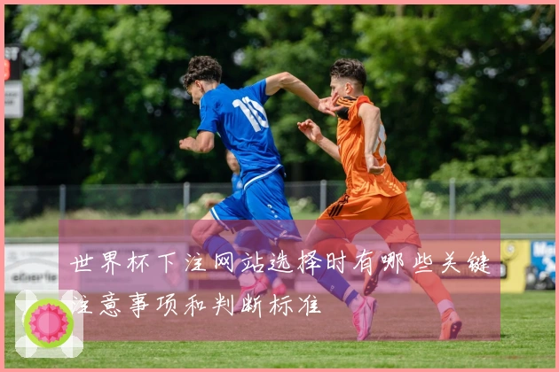 世界杯下注网站选择时有哪些关键注意事项和判断标准