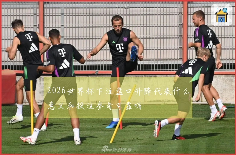 2026世界杯下注盘口升降代表什么意义和投注参考可靠吗