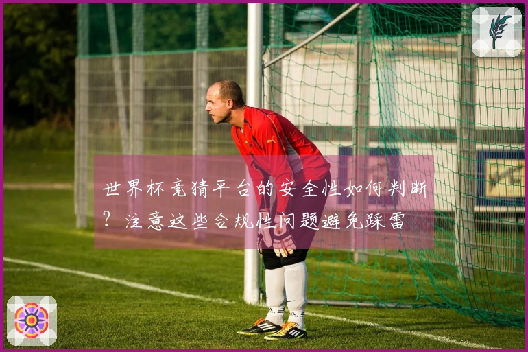 世界杯竞猜平台的安全性如何判断？注意这些合规性问题避免踩雷