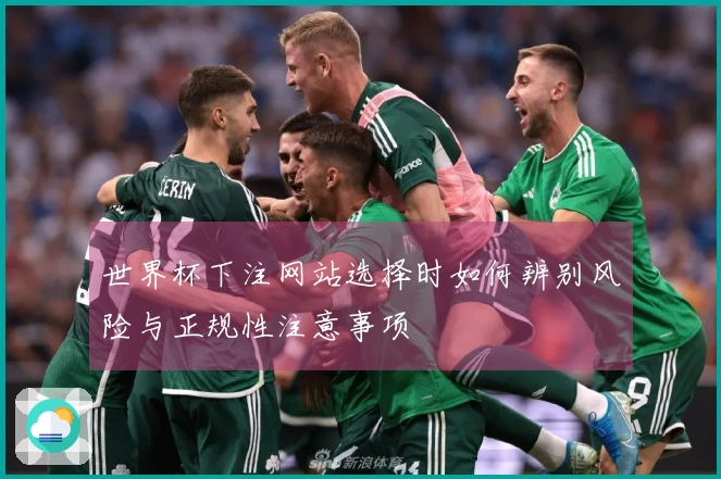 世界杯下注网站选择时如何辨别风险与正规性注意事项