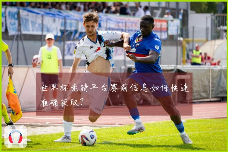 世界杯竞猜平台赛前信息如何快速准确获取？