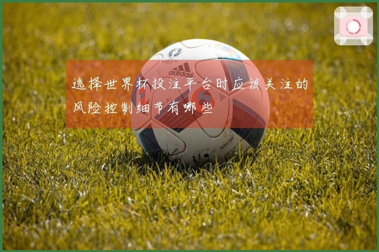 选择世界杯投注平台时应该关注的风险控制细节有哪些
