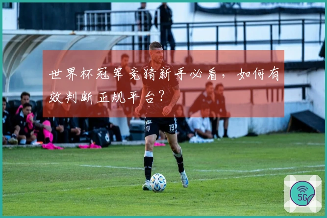 世界杯冠军竞猜新手必看，如何有效判断正规平台？